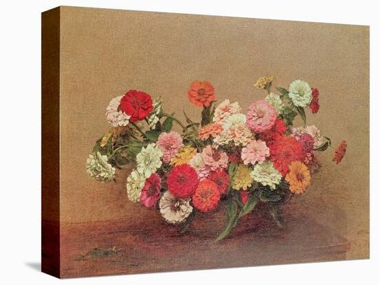 Zinnias in a Glass Bowl, 1886-Henri Fantin-Latour-Stretched Canvas