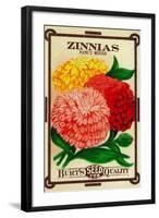 Zinnias Seed Packet-Lantern Press-Framed Art Print