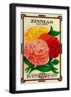 Zinnias Seed Packet-Lantern Press-Framed Art Print