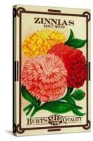 Zinnias Seed Packet-Lantern Press-Stretched Canvas