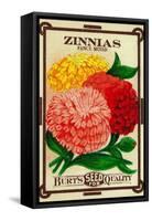 Zinnias Seed Packet-Lantern Press-Framed Stretched Canvas
