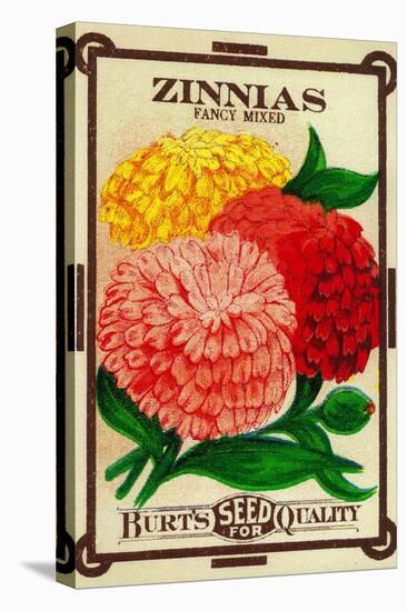 Zinnias Seed Packet-Lantern Press-Stretched Canvas