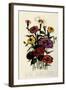 Zinnias-null-Framed Giclee Print