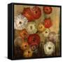 Zinnias-Farrell Douglass-Framed Stretched Canvas