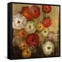 Zinnias-Farrell Douglass-Framed Stretched Canvas