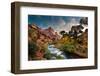 Zion and The-Peter Kunasz-Framed Photographic Print