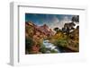 Zion and The-Peter Kunasz-Framed Photographic Print