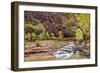 Zion Autumn I-Danny Head-Framed Photographic Print