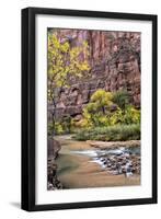 Zion Autumn II-Danny Head-Framed Photographic Print