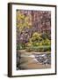 Zion Autumn II-Danny Head-Framed Photographic Print