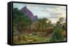 Zion Canyon Bridge-Vincent James-Framed Stretched Canvas