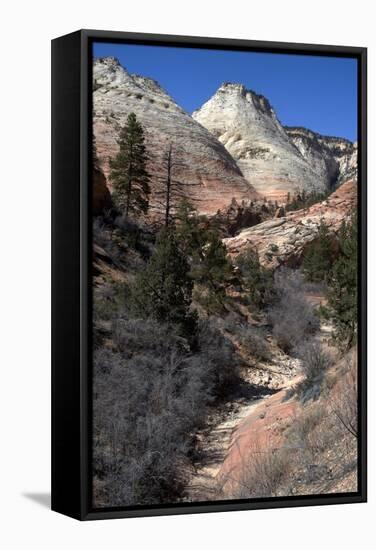 Zion Canyon National Park, Utah, United States of America, North America-Ethel Davies-Framed Stretched Canvas