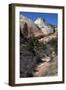 Zion Canyon National Park, Utah, United States of America, North America-Ethel Davies-Framed Photographic Print