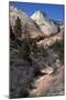 Zion Canyon National Park, Utah, United States of America, North America-Ethel Davies-Mounted Photographic Print