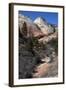 Zion Canyon National Park, Utah, United States of America, North America-Ethel Davies-Framed Photographic Print