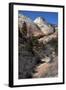 Zion Canyon National Park, Utah, United States of America, North America-Ethel Davies-Framed Photographic Print