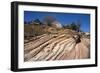 Zion Canyon National Park, Utah, United States of America, North America-Ethel Davies-Framed Photographic Print