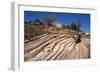 Zion Canyon National Park, Utah, United States of America, North America-Ethel Davies-Framed Photographic Print