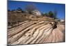 Zion Canyon National Park, Utah, United States of America, North America-Ethel Davies-Mounted Photographic Print