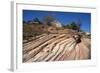 Zion Canyon National Park, Utah, United States of America, North America-Ethel Davies-Framed Photographic Print