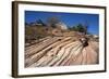 Zion Canyon National Park, Utah, United States of America, North America-Ethel Davies-Framed Photographic Print