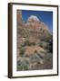 Zion Canyon National Park, Utah, United States of America, North America-Ethel Davies-Framed Photographic Print