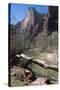 Zion Canyon National Park, Utah, United States of America, North America-Ethel Davies-Stretched Canvas