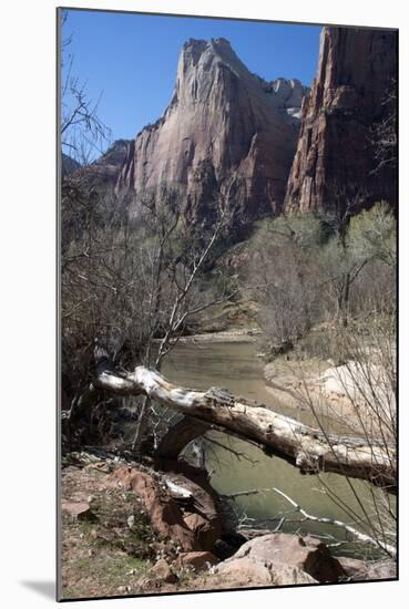 Zion Canyon National Park, Utah, United States of America, North America-Ethel Davies-Mounted Photographic Print