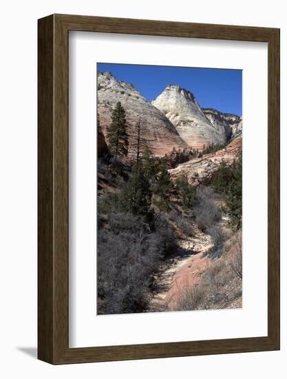 Zion Canyon National Park, Utah, United States of America, North America-Ethel Davies-Framed Photographic Print