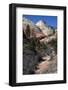 Zion Canyon National Park, Utah, United States of America, North America-Ethel Davies-Framed Photographic Print