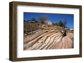 Zion Canyon National Park, Utah, United States of America, North America-Ethel Davies-Framed Photographic Print