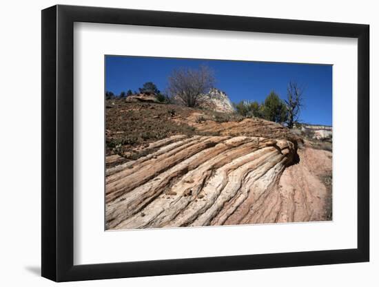 Zion Canyon National Park, Utah, United States of America, North America-Ethel Davies-Framed Photographic Print