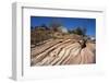 Zion Canyon National Park, Utah, United States of America, North America-Ethel Davies-Framed Photographic Print