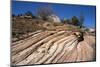 Zion Canyon National Park, Utah, United States of America, North America-Ethel Davies-Mounted Photographic Print