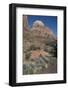 Zion Canyon National Park, Utah, United States of America, North America-Ethel Davies-Framed Photographic Print