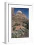 Zion Canyon National Park, Utah, United States of America, North America-Ethel Davies-Framed Photographic Print