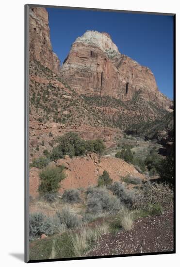 Zion Canyon National Park, Utah, United States of America, North America-Ethel Davies-Mounted Photographic Print