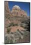 Zion Canyon National Park, Utah, United States of America, North America-Ethel Davies-Mounted Photographic Print