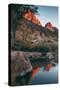 Zion Canyon Reflection, Zion National Park, Utah-Vincent James-Stretched Canvas