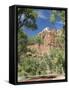 Zion Canyon Scenic Drive, Near Zion Lodge, Zion National Park, Utah, United States of America, Nort-Richard Maschmeyer-Framed Stretched Canvas