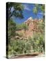 Zion Canyon Scenic Drive, Near Zion Lodge, Zion National Park, Utah, United States of America, Nort-Richard Maschmeyer-Stretched Canvas