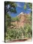 Zion Canyon Scenic Drive, Near Zion Lodge, Zion National Park, Utah, United States of America, Nort-Richard Maschmeyer-Stretched Canvas