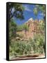 Zion Canyon Scenic Drive, Near Zion Lodge, Zion National Park, Utah, United States of America, Nort-Richard Maschmeyer-Framed Stretched Canvas