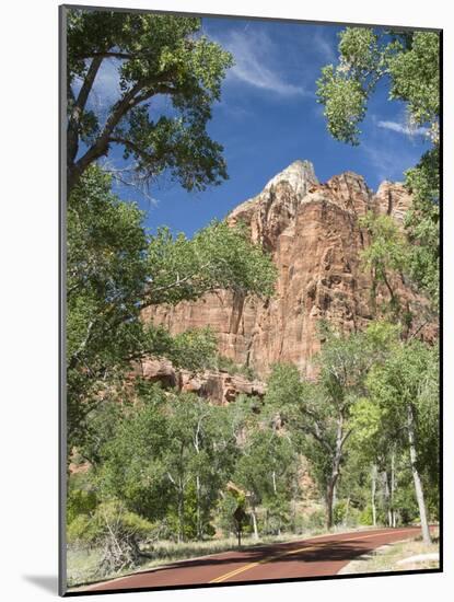Zion Canyon Scenic Drive, Near Zion Lodge, Zion National Park, Utah, United States of America, Nort-Richard Maschmeyer-Mounted Photographic Print