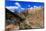 Zion Canyon View from Zion Park Boulevard-Eleanor-Mounted Photographic Print