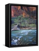 Zion Canyon, Zion National Park, Utah, USA-Scott T^ Smith-Framed Stretched Canvas