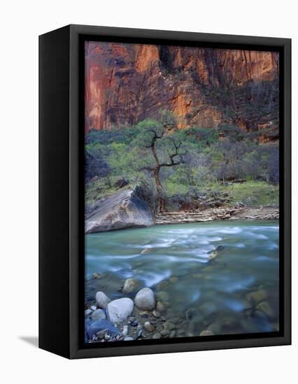 Zion Canyon, Zion National Park, Utah, USA-Scott T^ Smith-Framed Stretched Canvas