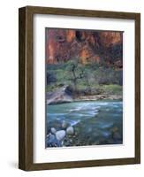 Zion Canyon, Zion National Park, Utah, USA-Scott T^ Smith-Framed Photographic Print