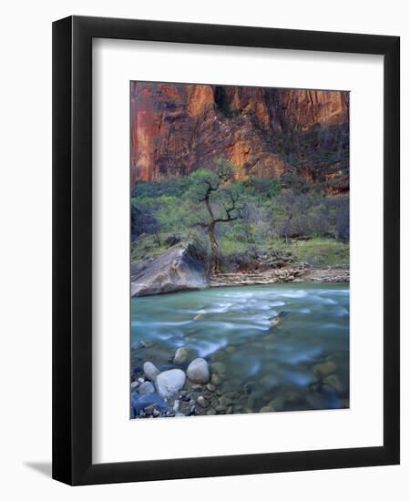 Zion Canyon, Zion National Park, Utah, USA-Scott T^ Smith-Framed Photographic Print