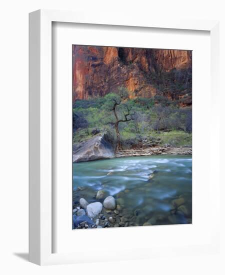 Zion Canyon, Zion National Park, Utah, USA-Scott T^ Smith-Framed Photographic Print